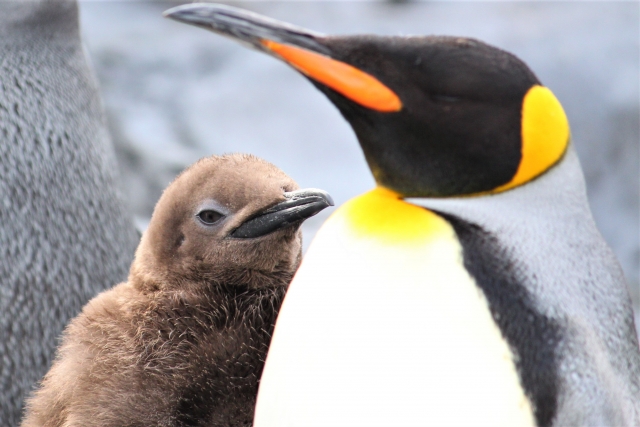 考え抜いたら〇ンペンに会えました(笑)。アイデアは出ないのでなく、出るまで考えていないだけ。