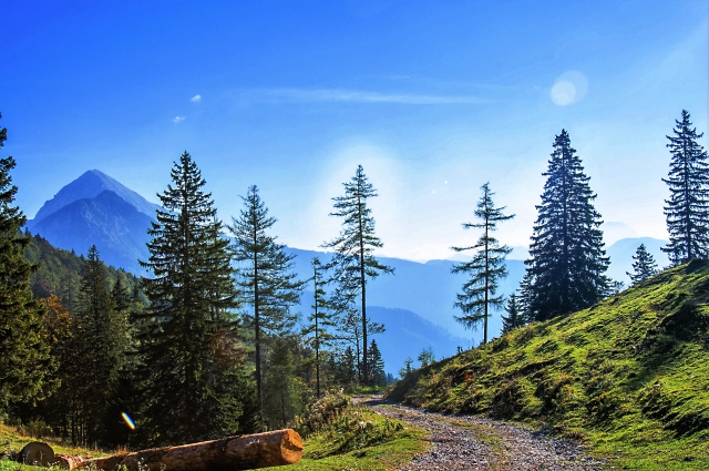 非日常で、現実を客観視する。そんな時間を無理やり作りましょう！