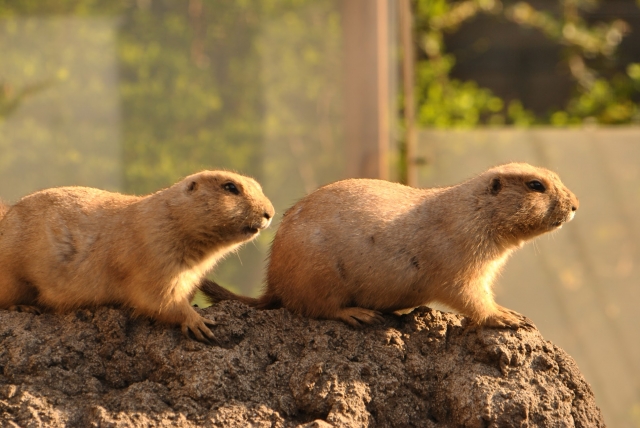 アナタの周りの人、みんな同じ方向、向いていますか？