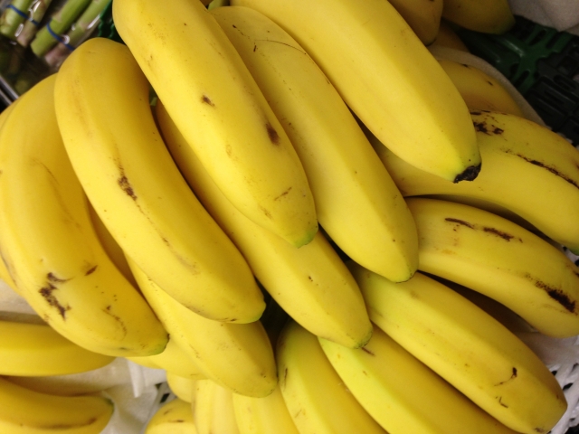 無料タダってどうなの？