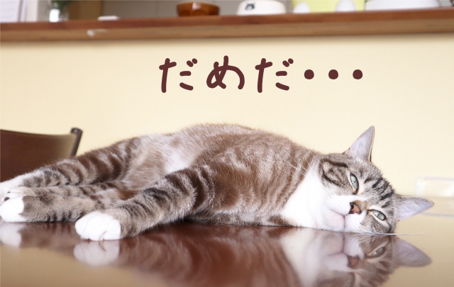 モチベーションを維持するにはコレ。