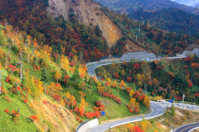 ついにいったで500号♪