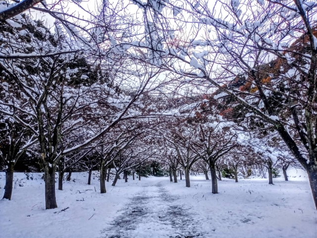 どうせやらなきゃいけないなら、、、
