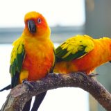 「良い話を聞いた」だけで終わらせない