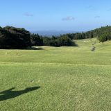 練習も大事ですが、、、