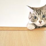 お金をかけず集客できるか？