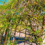 あえて茨の道を選ぶ必要性