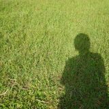 欲しいと買うは近いようで遠い