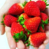 一石多鳥を目指せ