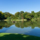 大義名分付き営業