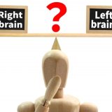 右脳と左脳
